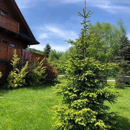 Buczynowe Farm stay Wysowa-Zdroj