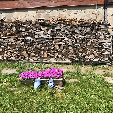 Buczynowe * Wysowa-Zdrój